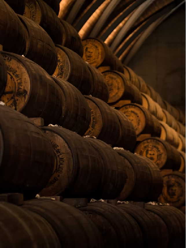 Rye whisky in barrels